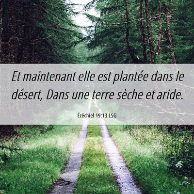 Picture 06 - Ézéchiel 19:13 LSG - Et maintenant elle est plantée dans le désert, - Bible Verse Picture