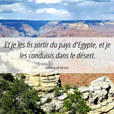Picture 06 - Ézéchiel 20:10 LSG - Et je les fis sortir du pays d'Egypte, et je les - Bible Verse Picture