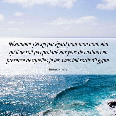 Picture 06 - Ézéchiel 20:14 LSG - Néanmoins j'ai agi par égard pour mon nom, afin - Bible Verse Picture