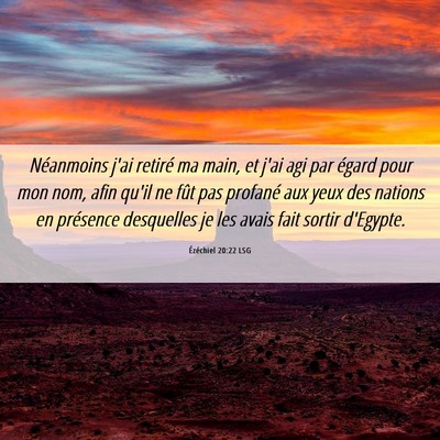 Picture 06 - Ézéchiel 20:22 LSG - Néanmoins j'ai retiré ma main, et j'ai agi par - Bible Verse Picture