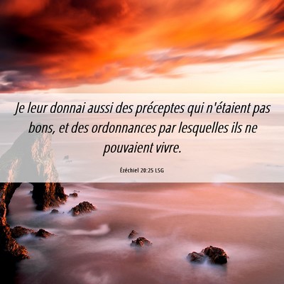 Picture 06 - Ézéchiel 20:25 LSG - Je leur donnai aussi des préceptes qui - Bible Verse Picture