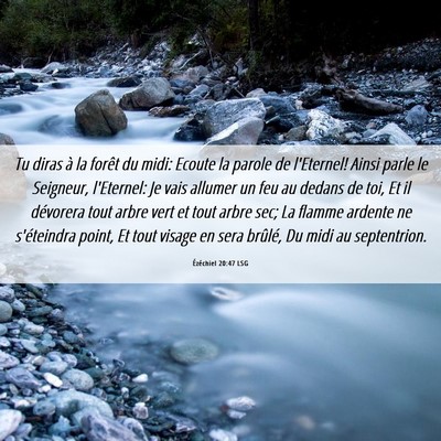 Picture 06 - Ézéchiel 20:47 LSG - Tu diras à la forêt du midi: Ecoute la parole - Bible Verse Picture