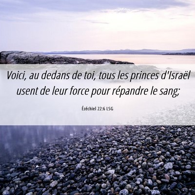 Picture 06 - Ézéchiel 22:6 LSG - Voici, au dedans de toi, tous les princes - Bible Verse Picture