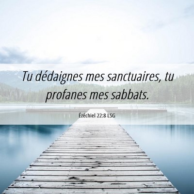 Picture 06 - Ézéchiel 22:8 LSG - Tu dédaignes mes sanctuaires, tu profanes mes - Bible Verse Picture