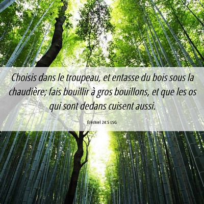 Picture 06 - Ézéchiel 24:5 LSG - Choisis dans le troupeau, et entasse du bois sous - Bible Verse Picture