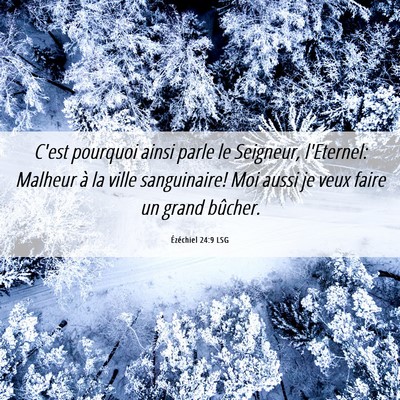 Picture 06 - Ézéchiel 24:9 LSG - C'est pourquoi ainsi parle le Seigneur, - Bible Verse Picture