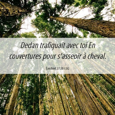 Picture 06 - Ézéchiel 27:20 LSG - Dedan trafiquait avec toi En couvertures pour - Bible Verse Picture