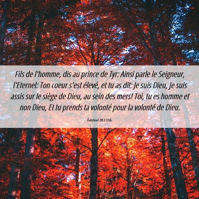 Picture 06 - Ézéchiel 28:2 LSG - Fils de l'homme, dis au prince de Tyr: Ainsi - Bible Verse Picture