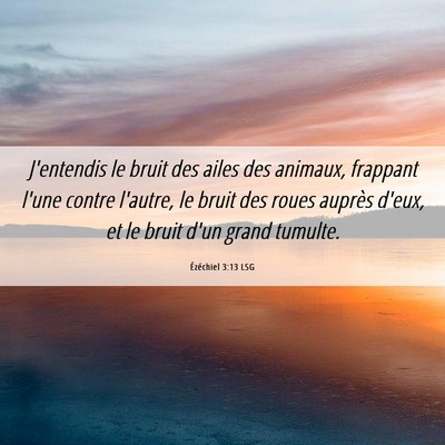 Picture 06 - Ézéchiel 3:13 LSG - J'entendis le bruit des ailes des animaux, - Bible Verse Picture