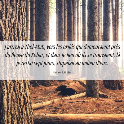 Picture 06 - Ézéchiel 3:15 LSG - J'arrivai à Thel-Abib, vers les exilés qui - Bible Verse Picture