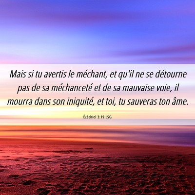 Picture 06 - Ézéchiel 3:19 LSG - Mais si tu avertis le méchant, et qu'il ne se - Bible Verse Picture