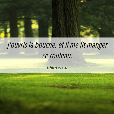 Picture 06 - Ézéchiel 3:2 LSG - J'ouvris la bouche, et il me fit manger ce - Bible Verse Picture