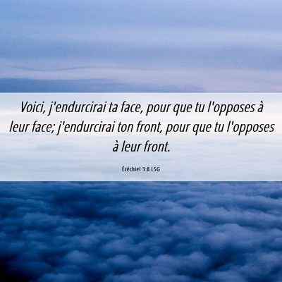 Picture 06 - Ézéchiel 3:8 LSG - Voici, j'endurcirai ta face, pour que tu - Bible Verse Picture