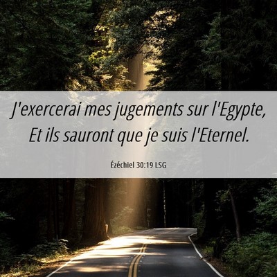 Picture 06 - Ézéchiel 30:19 LSG - J'exercerai mes jugements sur l'Egypte, Et ils - Bible Verse Picture