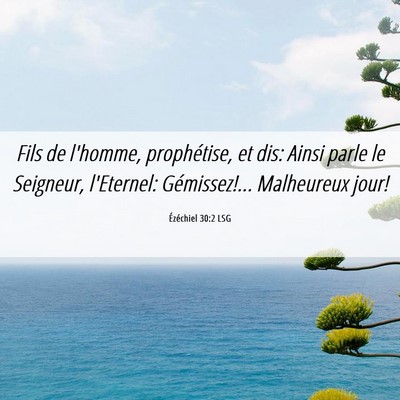 Picture 06 - Ézéchiel 30:2 LSG - Fils de l'homme, prophétise, et dis: Ainsi parle - Bible Verse Picture