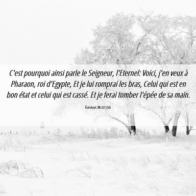 Picture 06 - Ézéchiel 30:22 LSG - C'est pourquoi ainsi parle le Seigneur, - Bible Verse Picture