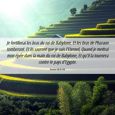 Picture 06 - Ézéchiel 30:25 LSG - Je fortifierai les bras du roi de Babylone, Et - Bible Verse Picture