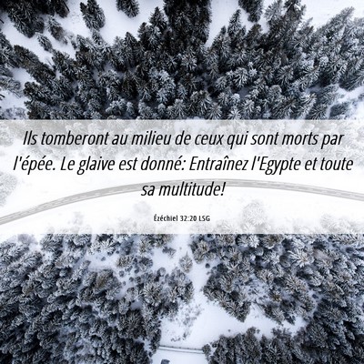 Picture 06 - Ézéchiel 32:20 LSG - Ils tomberont au milieu de ceux qui sont morts - Bible Verse Picture