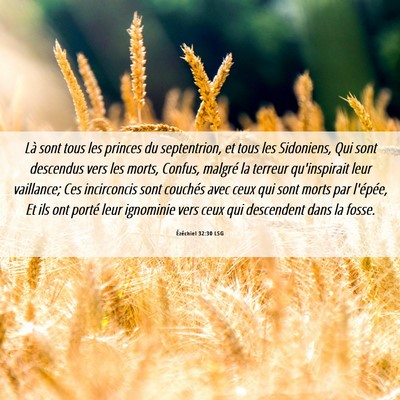 Picture 06 - Ézéchiel 32:30 LSG - Là sont tous les princes du septentrion, et tous - Bible Verse Picture