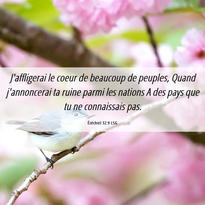 Picture 06 - Ézéchiel 32:9 LSG - J'affligerai le coeur de beaucoup de peuples, - Bible Verse Picture