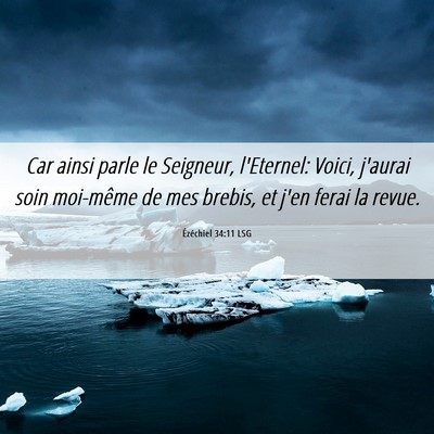 Picture 06 - Ézéchiel 34:11 LSG - Car ainsi parle le Seigneur, l'Eternel: Voici, - Bible Verse Picture