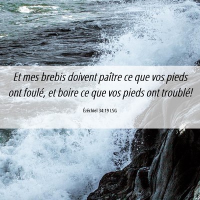 Picture 06 - Ézéchiel 34:19 LSG - Et mes brebis doivent paître ce que vos pieds - Bible Verse Picture