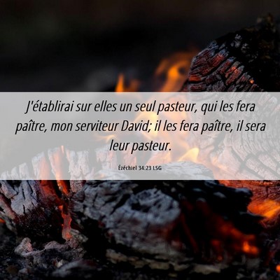Picture 06 - Ézéchiel 34:23 LSG - J'établirai sur elles un seul pasteur, qui les - Bible Verse Picture