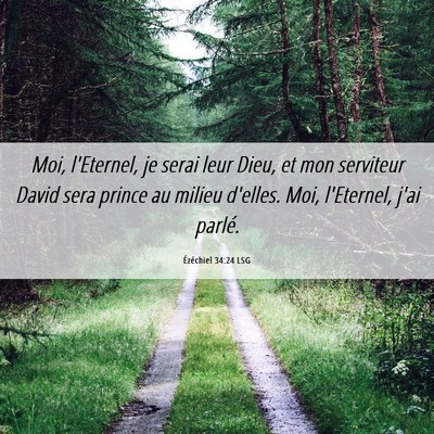 Picture 06 - Ézéchiel 34:24 LSG - Moi, l'Eternel, je serai leur Dieu, et mon - Bible Verse Picture
