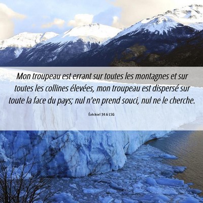 Picture 06 - Ézéchiel 34:6 LSG - Mon troupeau est errant sur toutes les montagnes - Bible Verse Picture