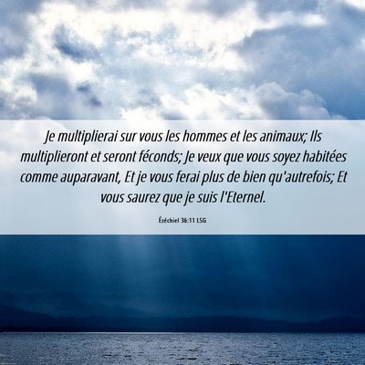 Picture 06 - Ézéchiel 36:11 LSG - Je multiplierai sur vous les hommes et les - Bible Verse Picture