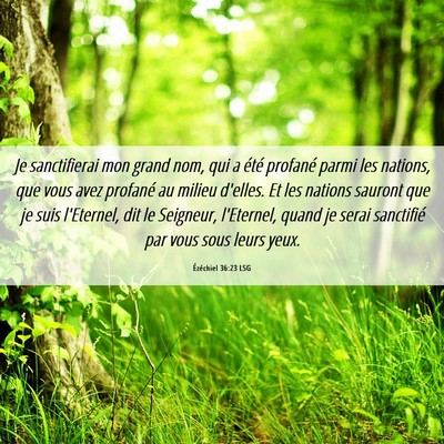 Picture 06 - Ézéchiel 36:23 LSG - Je sanctifierai mon grand nom, qui a été - Bible Verse Picture