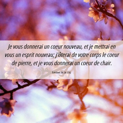 Picture 06 - Ézéchiel 36:26 LSG - Je vous donnerai un coeur nouveau, et je mettrai - Bible Verse Picture