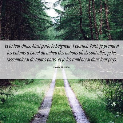 Picture 06 - Ézéchiel 37:21 LSG - Et tu leur diras: Ainsi parle le Seigneur, - Bible Verse Picture