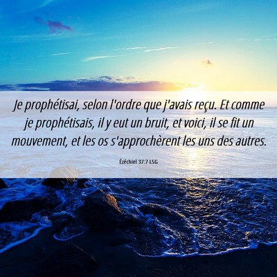 Picture 06 - Ézéchiel 37:7 LSG - Je prophétisai, selon l'ordre que j'avais reçu. - Bible Verse Picture