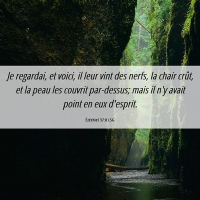 Picture 06 - Ézéchiel 37:8 LSG - Je regardai, et voici, il leur vint des nerfs, la - Bible Verse Picture