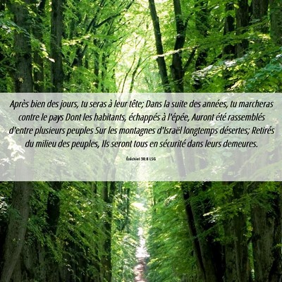 Picture 06 - Ézéchiel 38:8 LSG - Après bien des jours, tu seras à leur tête; - Bible Verse Picture