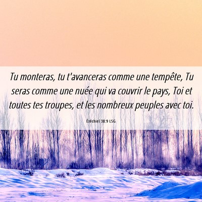 Picture 06 - Ézéchiel 38:9 LSG - Tu monteras, tu t'avanceras comme une tempête, - Bible Verse Picture