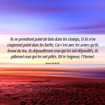 Picture 06 - Ézéchiel 39:10 LSG - Ils ne prendront point de bois dans les champs, - Bible Verse Picture
