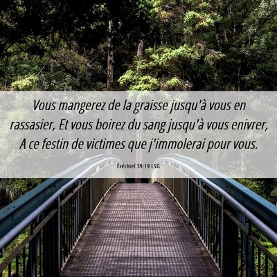 Picture 06 - Ézéchiel 39:19 LSG - Vous mangerez de la graisse jusqu'à vous en - Bible Verse Picture