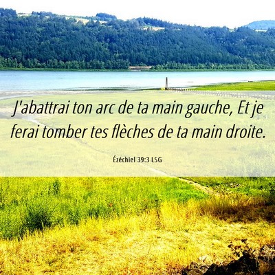 Picture 06 - Ézéchiel 39:3 LSG - J'abattrai ton arc de ta main gauche, Et je ferai - Bible Verse Picture