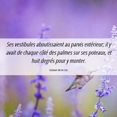 Picture 06 - Ézéchiel 40:34 LSG - Ses vestibules aboutissaient au parvis - Bible Verse Picture