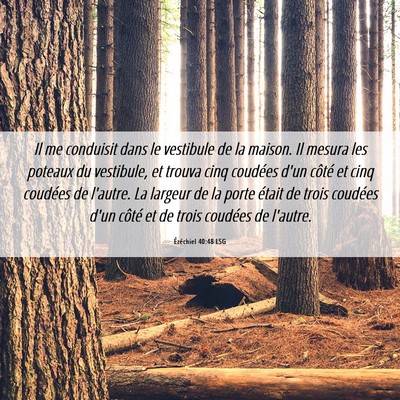 Picture 06 - Ézéchiel 40:48 LSG - Il me conduisit dans le vestibule de la maison. - Bible Verse Picture