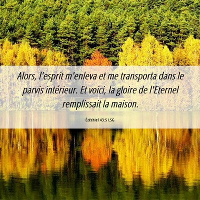 Picture 06 - Ézéchiel 43:5 LSG - Alors, l'esprit m'enleva et me transporta dans le - Bible Verse Picture