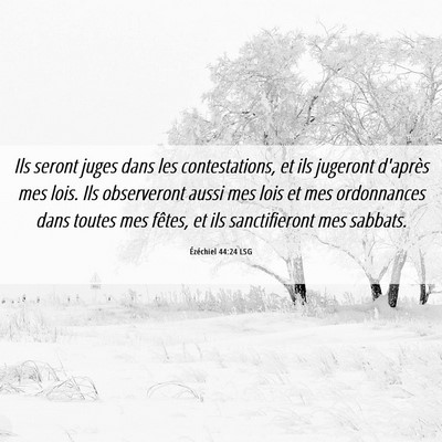 Picture 06 - Ézéchiel 44:24 LSG - Ils seront juges dans les contestations, et ils - Bible Verse Picture