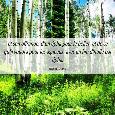 Picture 06 - Ézéchiel 46:5 LSG - et son offrande, d'un épha pour le bélier, et - Bible Verse Picture
