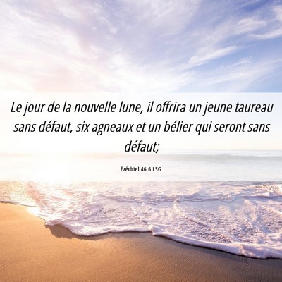 Picture 06 - Ézéchiel 46:6 LSG - Le jour de la nouvelle lune, il offrira un jeune - Bible Verse Picture