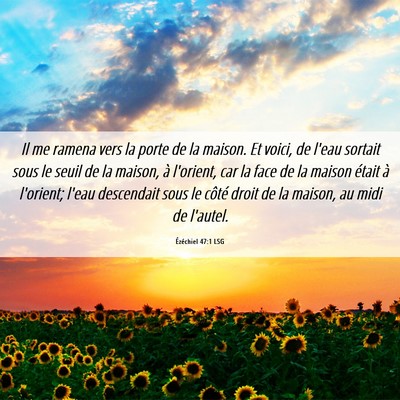 Picture 06 - Ézéchiel 47:1 LSG - Il me ramena vers la porte de la maison. Et - Bible Verse Picture