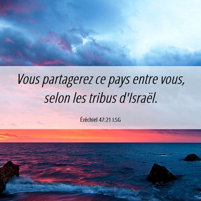 Picture 06 - Ézéchiel 47:21 LSG - Vous partagerez ce pays entre vous, selon les - Bible Verse Picture
