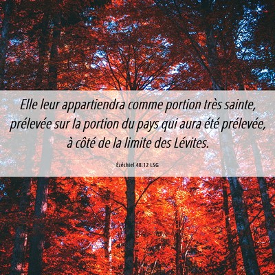 Picture 06 - Ézéchiel 48:12 LSG - Elle leur appartiendra comme portion très - Bible Verse Picture