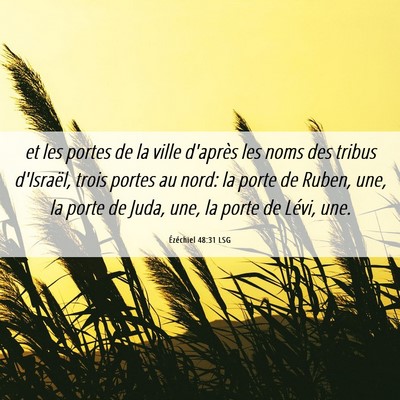 Picture 06 - Ézéchiel 48:31 LSG - et les portes de la ville d'après les noms des - Bible Verse Picture